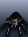 spider