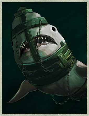 boundsharkgaz