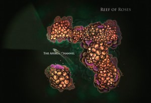 reefofroses