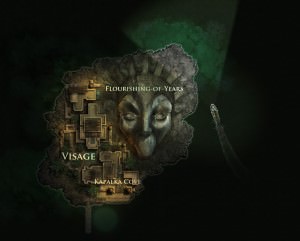 visage