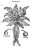 A historic botanical illustration of a Mandrake, which looks like a little person with pointy feet and a huge mane of leaves.