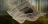 A newspaper blows across frame in a misty forest. Headline reads, "Nothing Happens!".